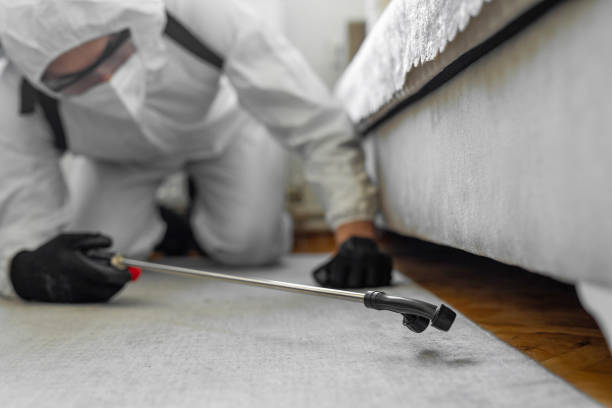 Professional Bed Bug Control technician working in Auglaize County County, OH